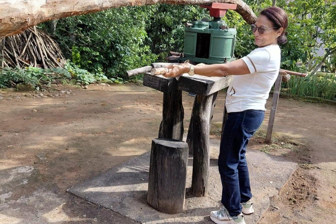 Trapiche de caña de azúcar, Gracias Lempira