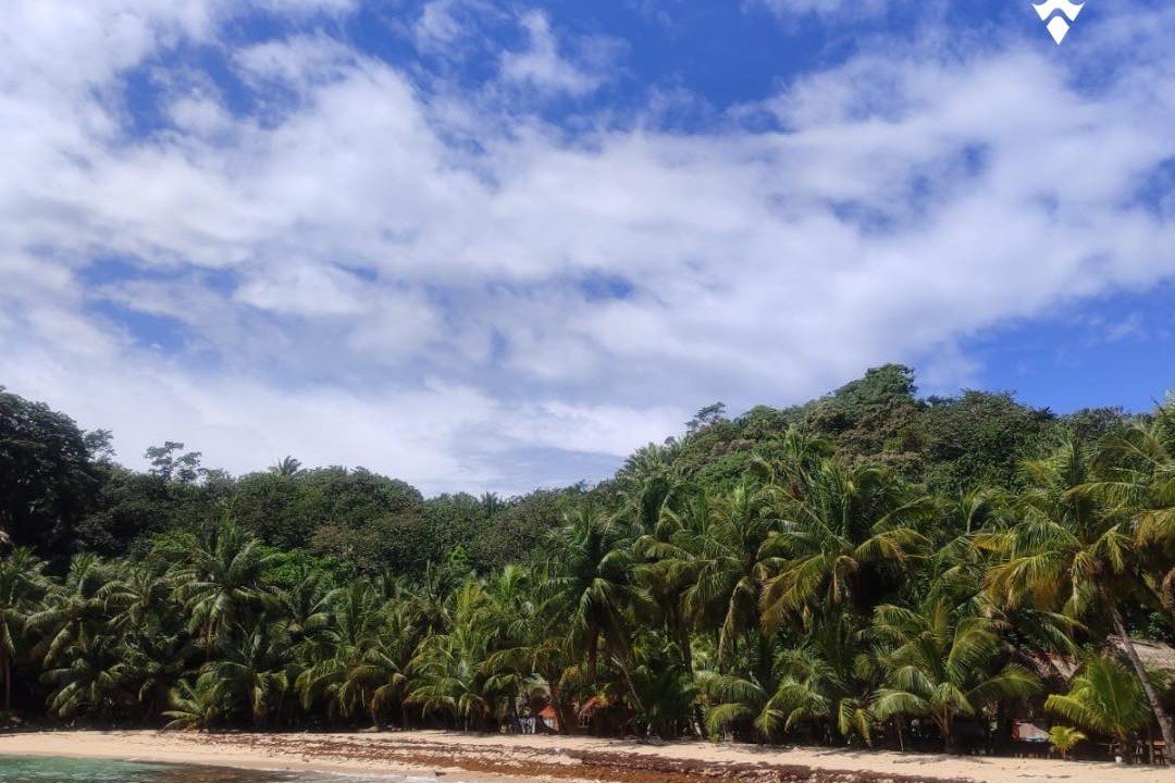 Playa paradisíaca de Tela con palmeras