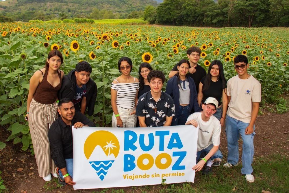 Campo de girasoles del viaje grupal